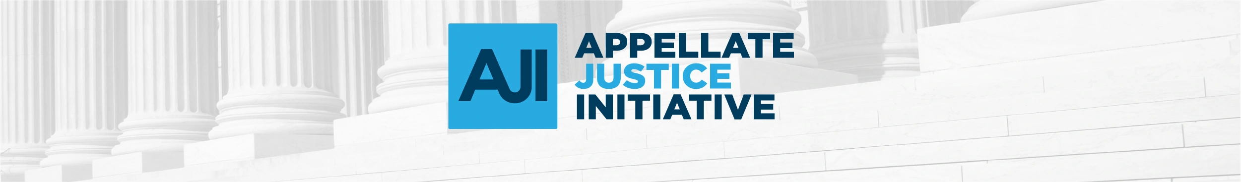 Appellate Justice Initiative