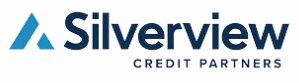 Silver View logo