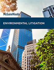 environmental litigation brochure