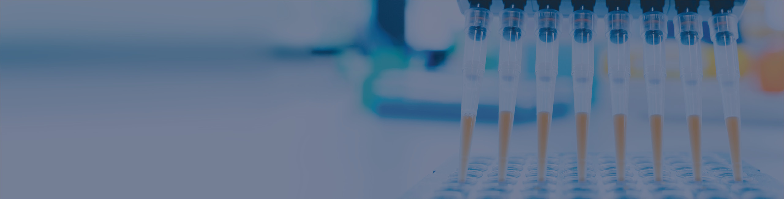 The Lab Protocol Web Image 2560x650